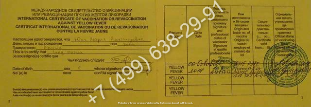 Купить сертификат о вакцинации от желтой лихорадки с доставкой